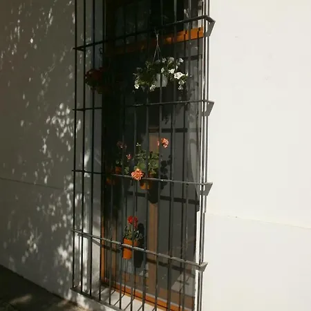 Casa En Plaza De La Merced_centro Flamenco_cadiz *